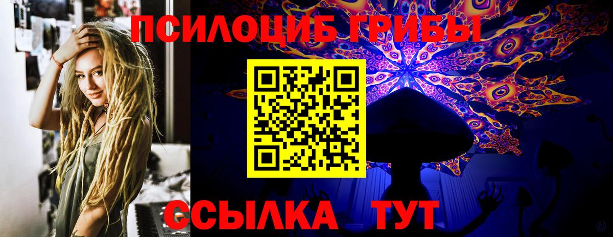 Галлюциногенные грибы MAGIC MUSHROOMS  как найти наркотики  Владимир  Вход с VPN 