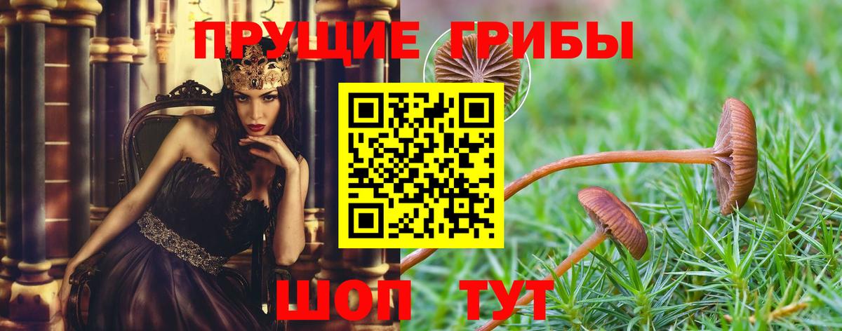 Галлюциногенные грибы MAGIC MUSHROOMS Владимир